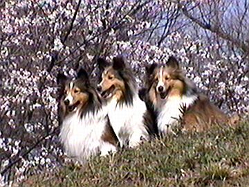 ���Ԍ��������i4/16�`4/30�j