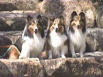 �΂̏�ɂ��H�i5/1�`5/15�j