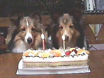 �Q�΂ɂȂ�܂�����i6/11�`6/15�j