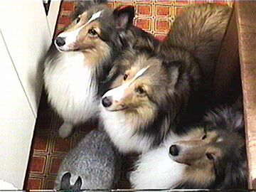 �N�_�T�C��i6/16�`6/30�j