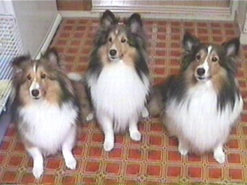 �����������Ⴂ�I�i7/16�`7/31�j