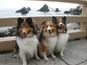 �ɐ��ɍs���ė��܂�����i8/1�`8/15�j