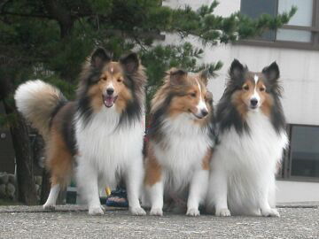 ���[�y���������I�i8/16�`8/31�j