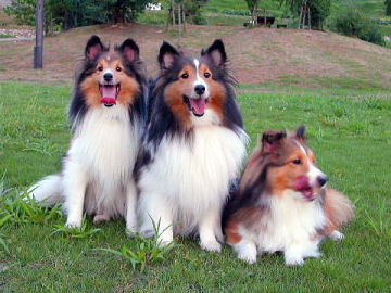 �A�`�[�I�ł��y�����`��i9/1�`9/15�j