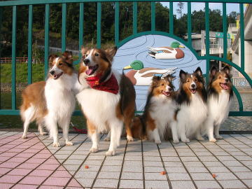 �݂�ȂŃp�`���I