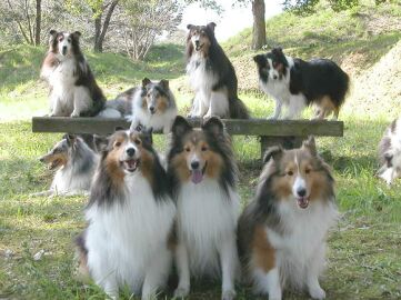 �C�c���m�g�R���f�E�E�E�i10/01�`10/15�j