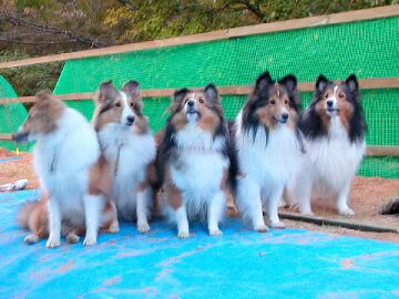 �傫���Ȃ����ˁ�i10/16�`10/31�j