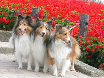 ���Ԗ��i��i11/01�`11/10�j