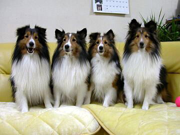 ���I������A��������Ⴂ��i12/01�`12/15�j