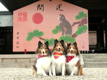 ���N�������V�N�ˁ�i1/1�`1/15�j