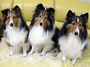 �K�}���K�}���I�i1/16�`1/31�j