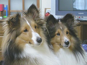 �v���Ԃ�̎���ł��I�i�΁j�i02/01�`02/15�j