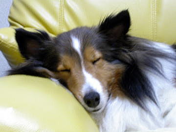 ���₷���i02/16�`02/29�j