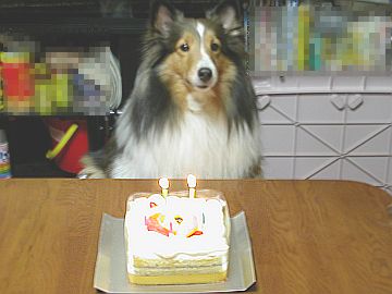 ���a�������߂łƂ���i03/11�`03/15�j