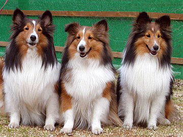 �����͊y����i05/01�`05/31�j