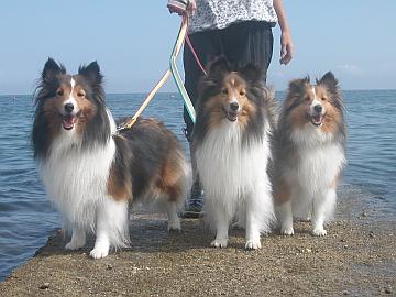 ��[����C�_���`��i09/01�`10/10�j