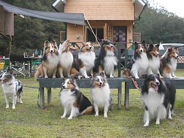 �Ă�܂낿���􃌃m�����悤�����֐��ց�_(^��^)�^