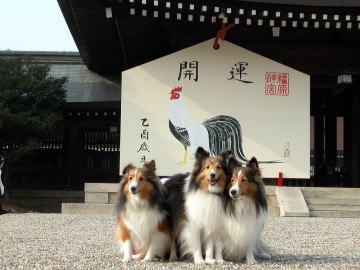 �މ�V�N�􍡔N����낵�����肢���܂��i2005�j