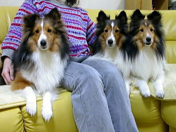 ���O�͂Ƃ��Ă���������E�E�E�i05/01/16�`02/10�j