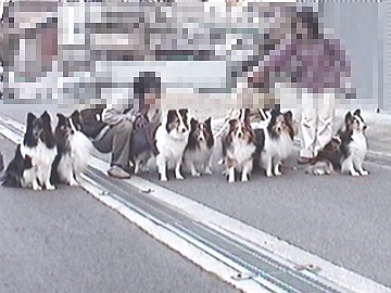 �Ƃ��Ă����������h�b�O�J�t�F��i05/02/11�`05/04/19�j