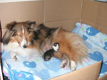 �ށ[�����{�������o�Y��_(^o^)�^�i05/12/18�`05/12/31�j