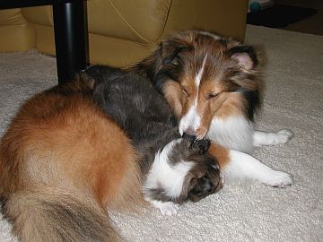 �ށ[������i�����j�͂Ƃ��Ă���񂿂�I�i06/01/16�`06/01/31�j