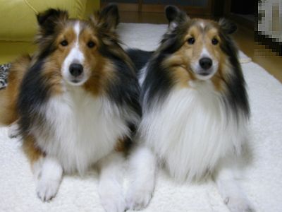 ���ǂ��o���@�ꂨ�Ƃށ[