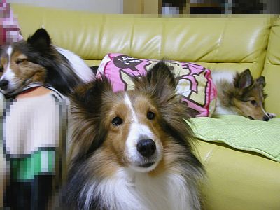 �킪�ƂɂāB�i�΁j