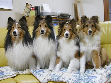 �킪�ƂɂāB�i�΁j�i06/06/01�`06/07/09�j