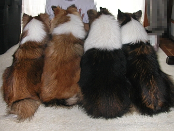 �E�V���X�K�^�f�V�c���C�V�}�X�B�i06/07/10�`06/08/07�j