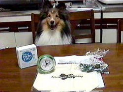 ���с[���񂿂�10000�ԁ�