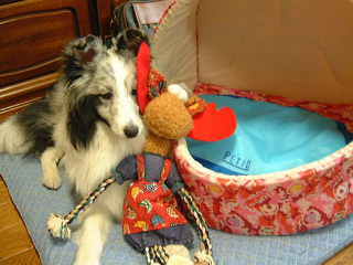 ���l����񂪑�\�ł���