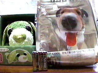 ���킢���ł���B