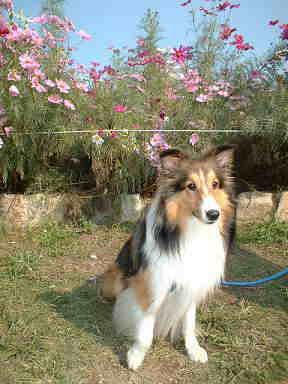 �R�X���X������āB