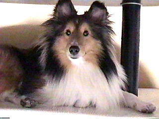 �ꂨ����ҋ@���E�E�E�E�E