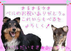 ����̃v���[�g��(from���������)