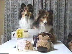 �ꂨ�Ƃށ[���_���Ă܂��I�i�΁j