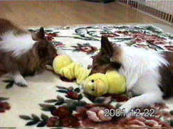 �Ђ��ς������������@etc.