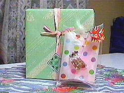 �Ƃ��Ă��������������Ȃ̂��I