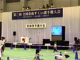 ����ςȊŔI