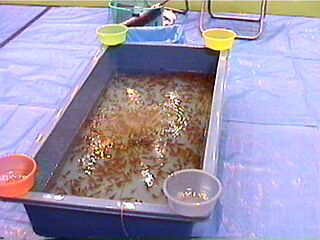 �������Ԃ�3���ł��B