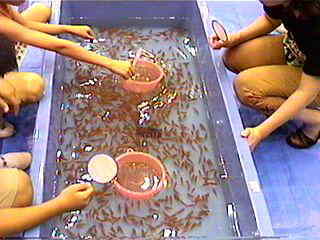 �܂�܂�A���܂�Ə����l����B