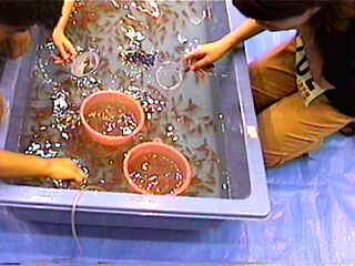 3�b�I�@���āA�I�C�I