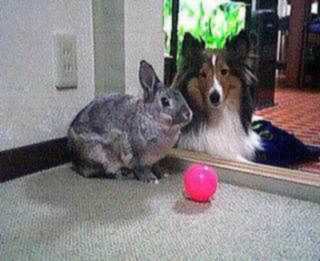 �܂邿���Ƃo�����̎ʐ^