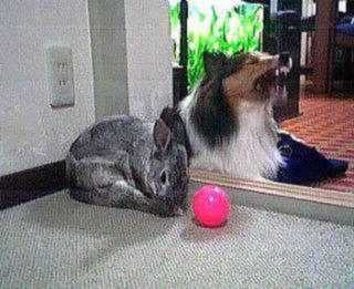 �܂邿���Ƃo�����̎ʐ^