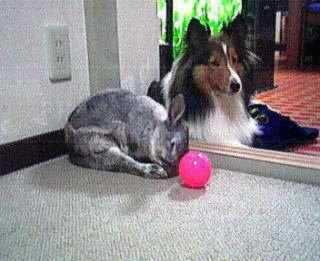 �܂邿���Ƃo�����̎ʐ^