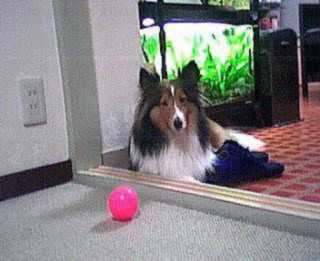 �܂邿���̎ʐ^