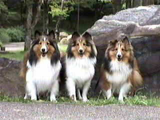 ���[��A�΂�����I�@�O�[(^-^)g""