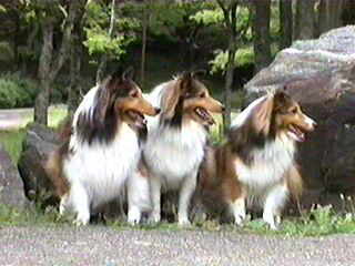 �u�ȂɂȂɁH�v