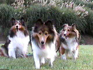 �u��������Ȃ��񂾂ˁI�v